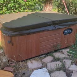 Hot Springs Hot Tub Jetsetter Spa Jacuzzi