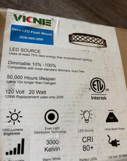 Flush Mount Light