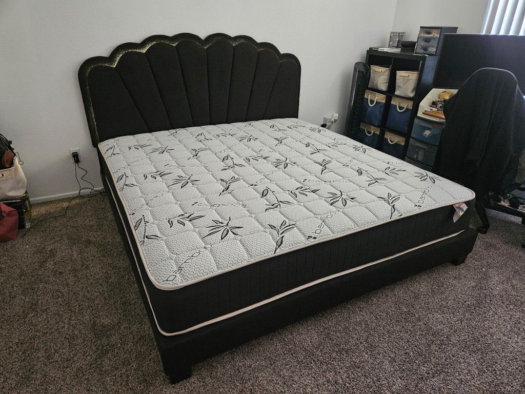 Brand New Bedframe King With Orthopedic Bamboo Matt $498