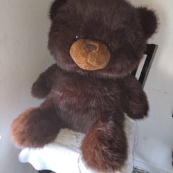 Brown Teddy Bear 🧸