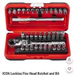 ICON ¼ INCH FLEX HEAD RATCHET 