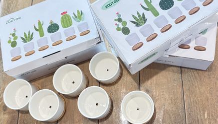 Desk Sized Succulent Planters 3.1 Inch Diameter