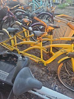 2 2 Person Kulana Bike 300 For Both