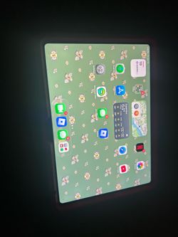 iPad 10th generation 256gb
