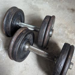 Dumbbells 20 Lbs Each