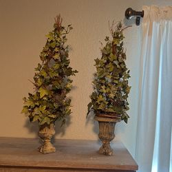 4 Spiral Topiaries