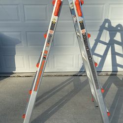 Little Giant Ladder 22ft
