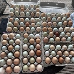 Farm Fresh Eggs