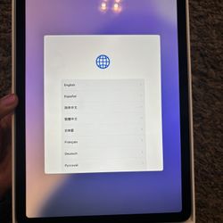 iPad 