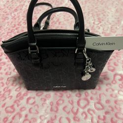 Calvin Klein Purse/Handbag 