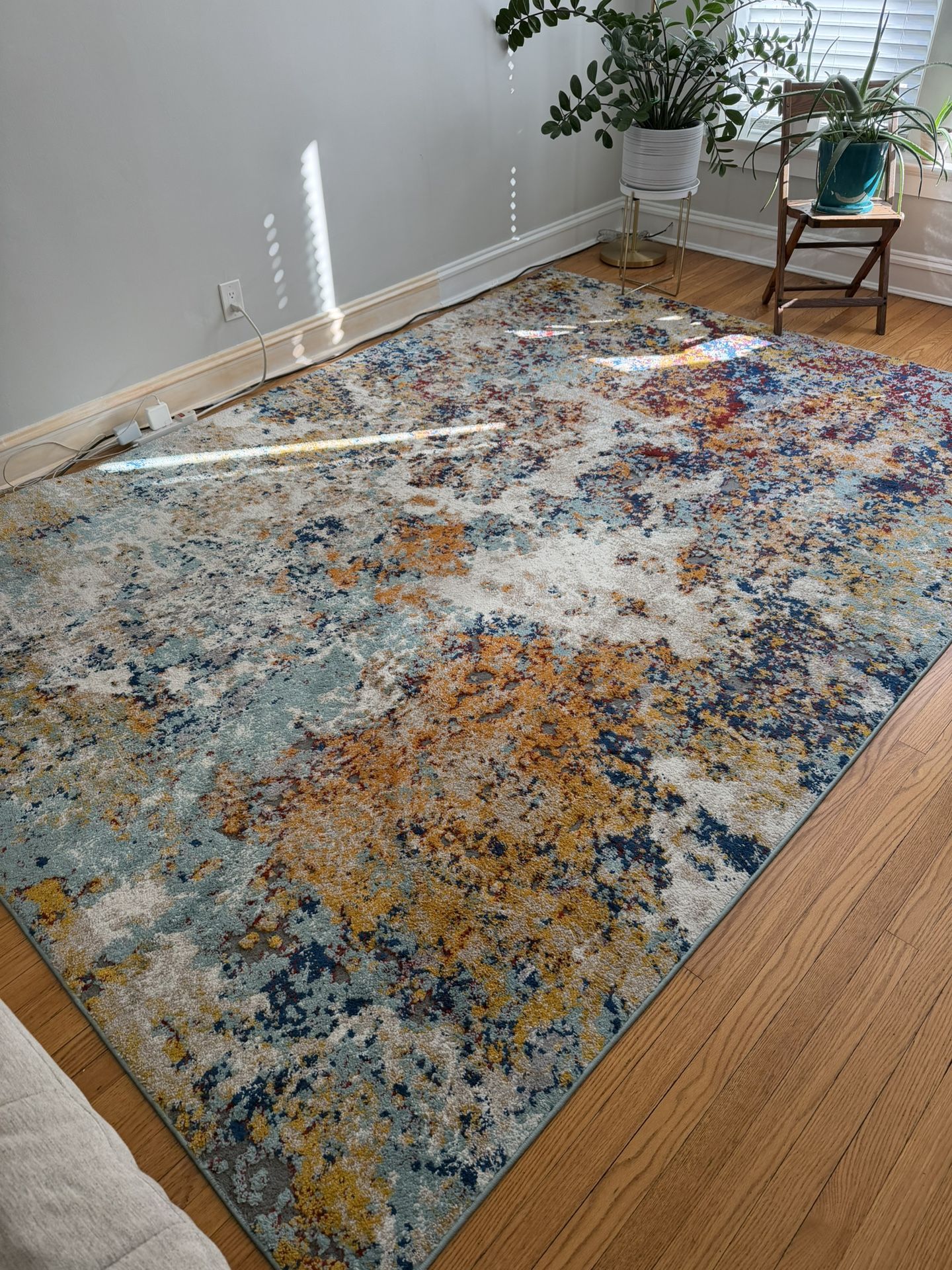 Living Room Rug