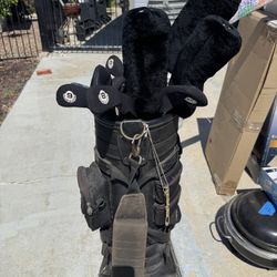 Women’s Golf Clubs