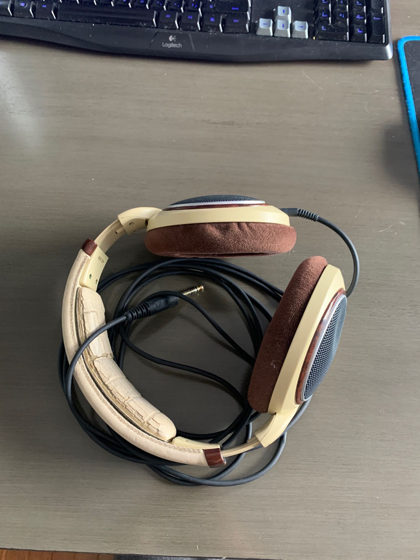 Sennheiser Headphones