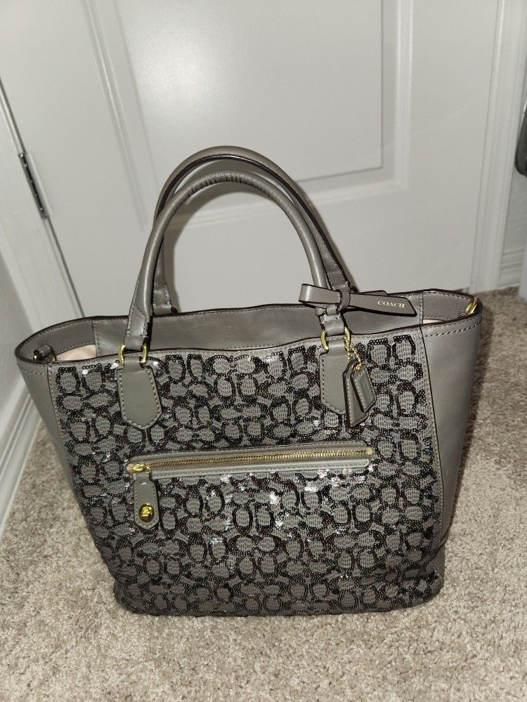 Coach Poppy Sequin Signature Tote Bag