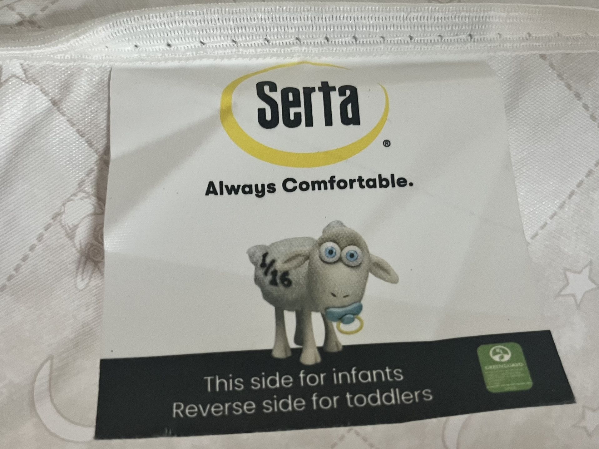 Crib Mattress & Protector Pad