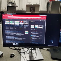 HP E233 Moniter