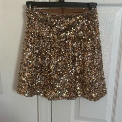 Zara Golden Skirt 