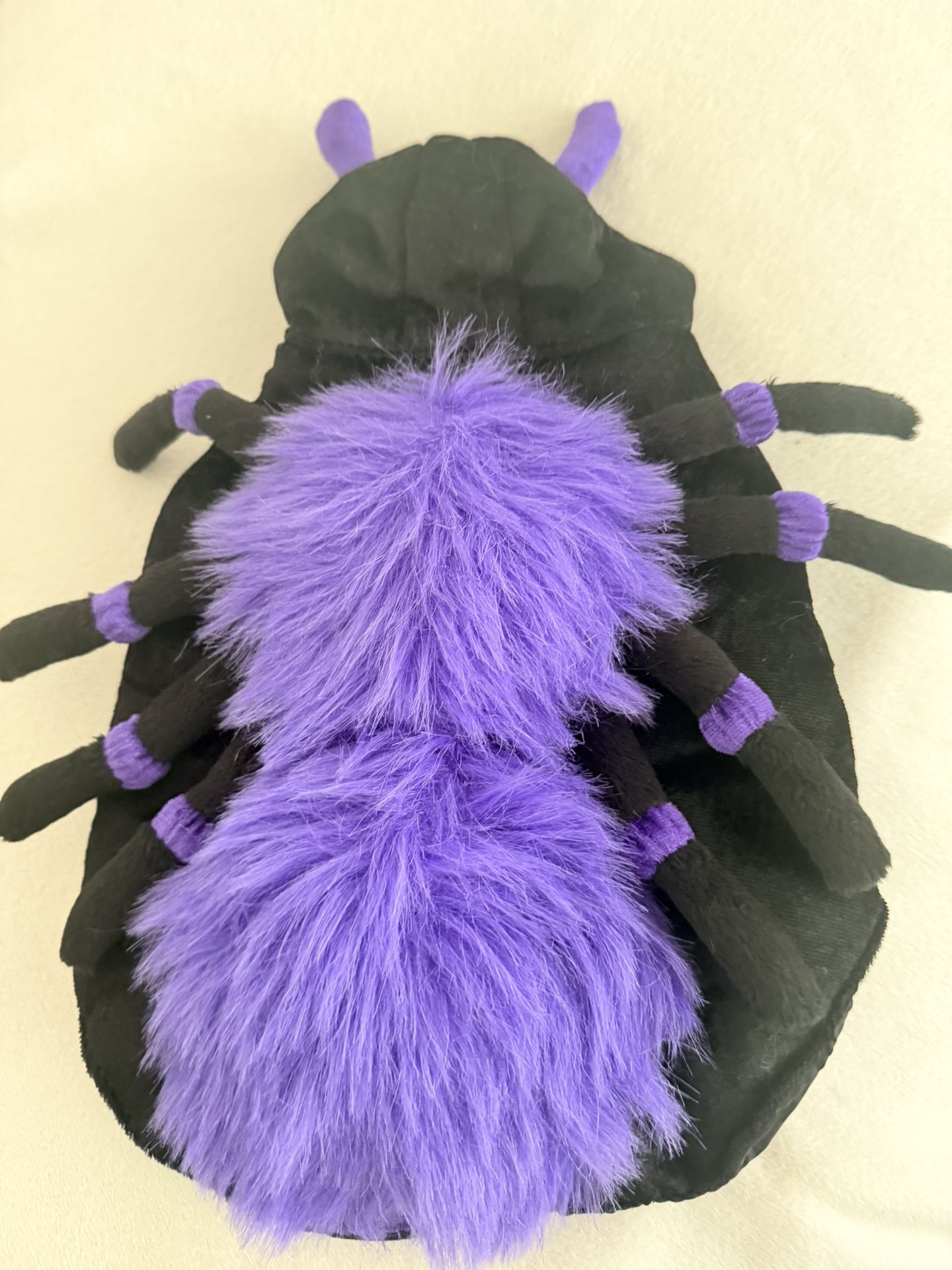 Small Dog Halloween Spider Costume