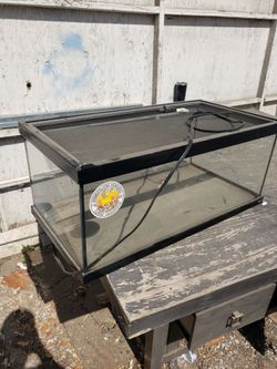 Reptile fishtank
