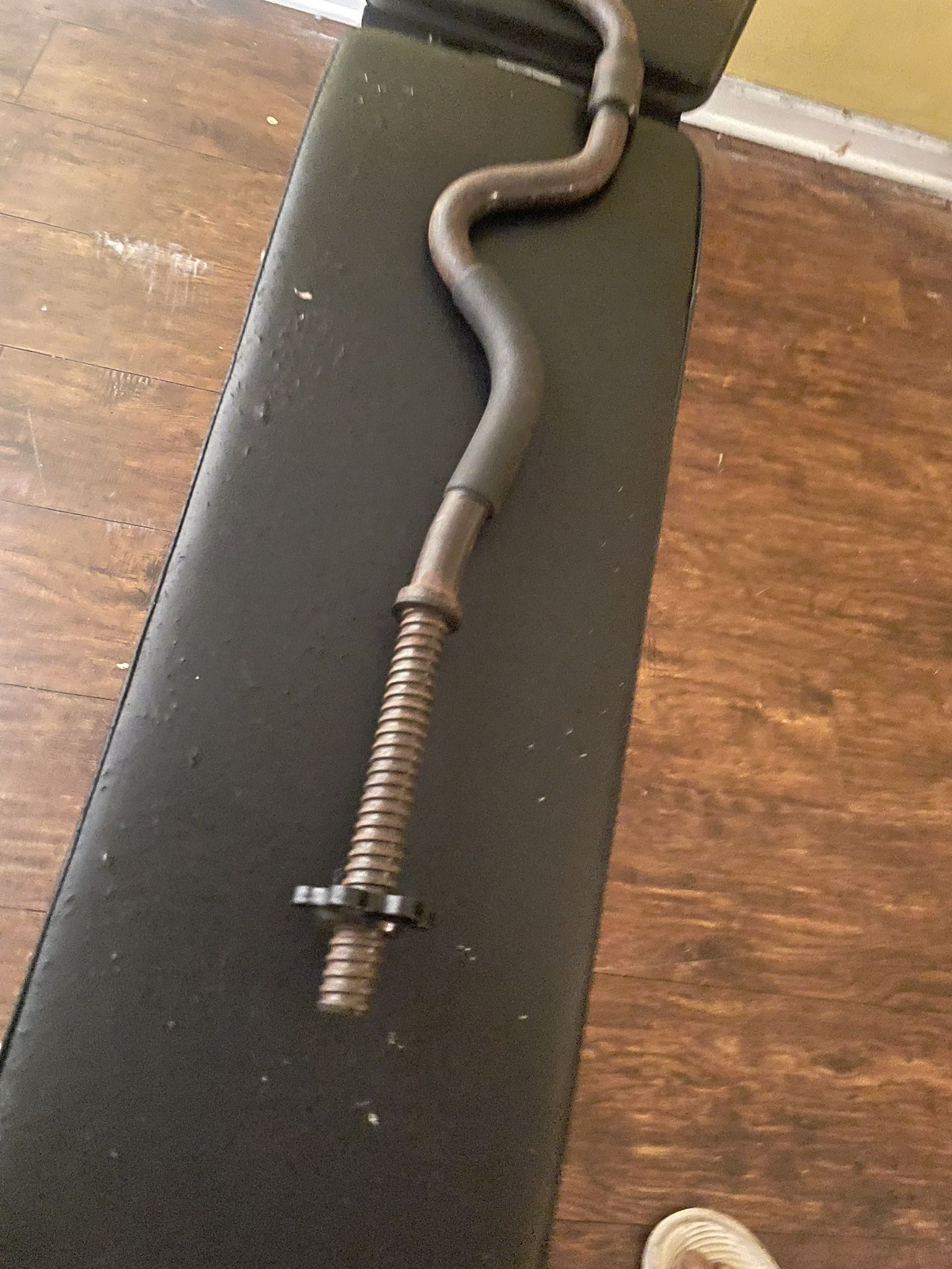 Curl Bar