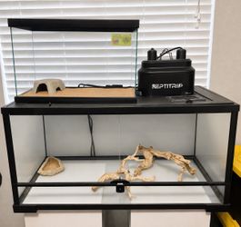 60 gallon reptile tank