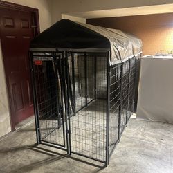 Lucky Dog Kennel 