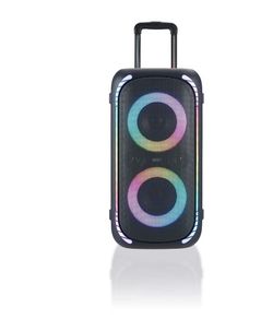 Speaker