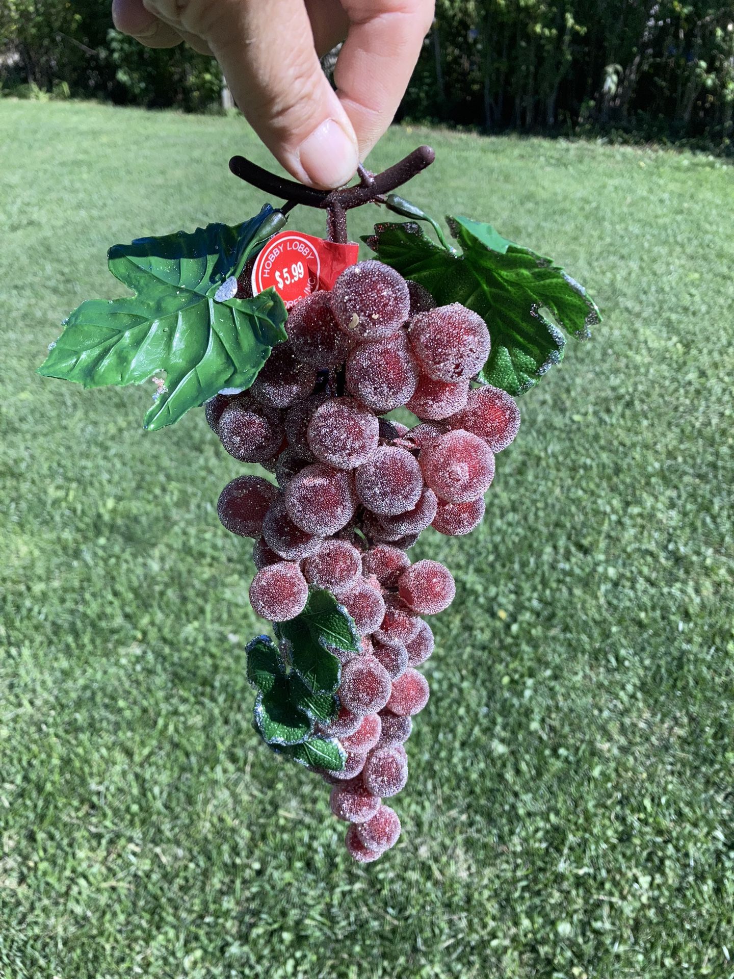 Large Sugared Grape Cluster