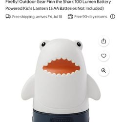 Kids Lantern 2pk