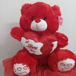 OSO MUSICAL NUEVO
