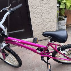 Kids Kent Terra 2.0 Mountain Bike Bike With Lighted Tires