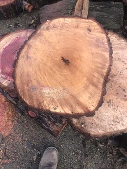 2 (15” ish )wood rounds