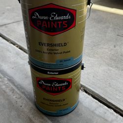 dunn edward’s acrylic velvet paint 