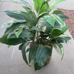 Large Artificial Plant 