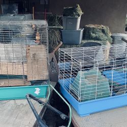 Hampster/animal Cages