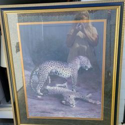 Leopards Playing 