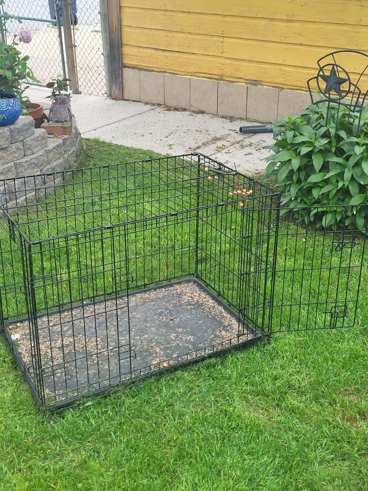 Dog Crate