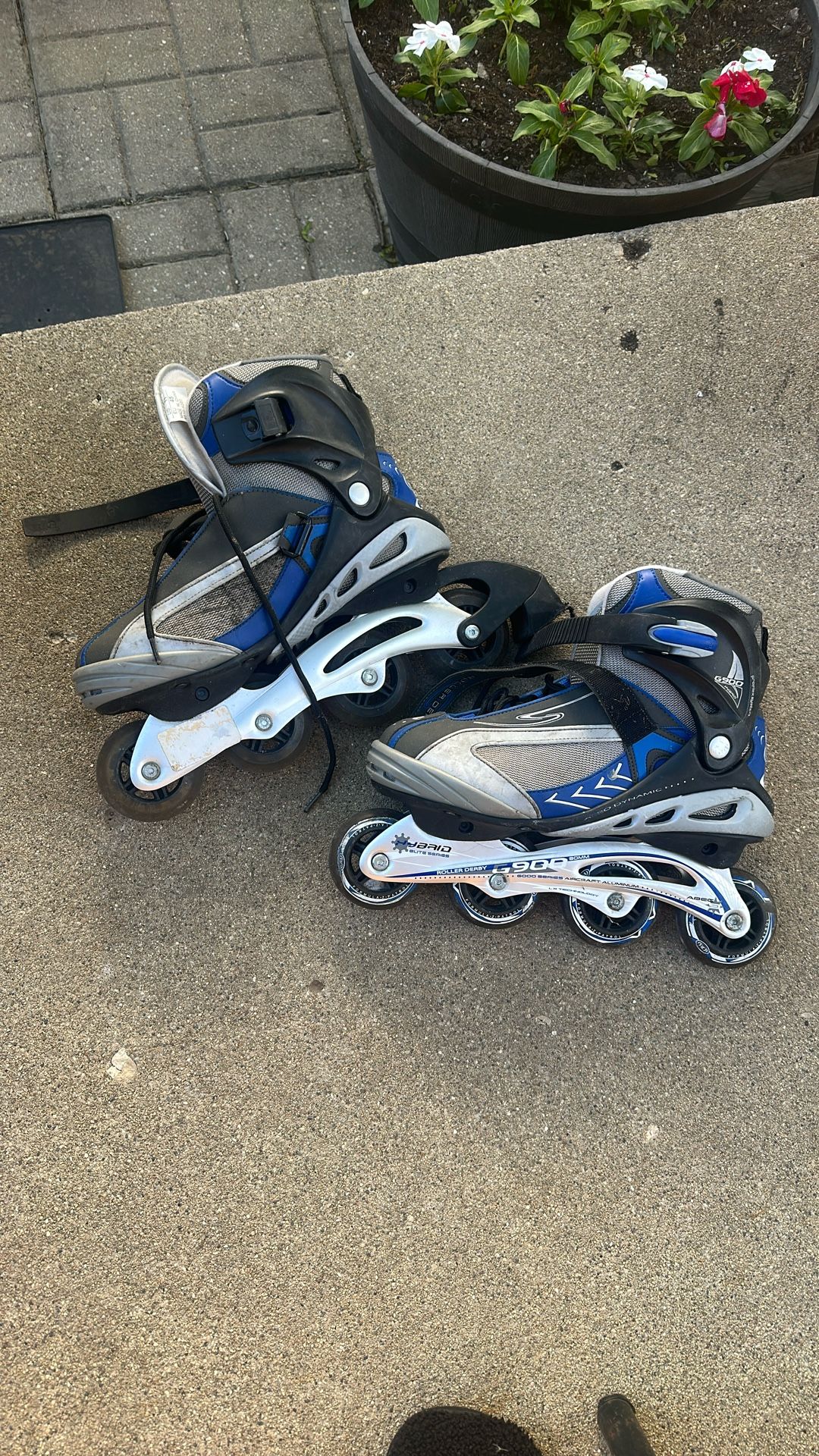 Roller Blades