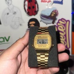 Casio Watches 