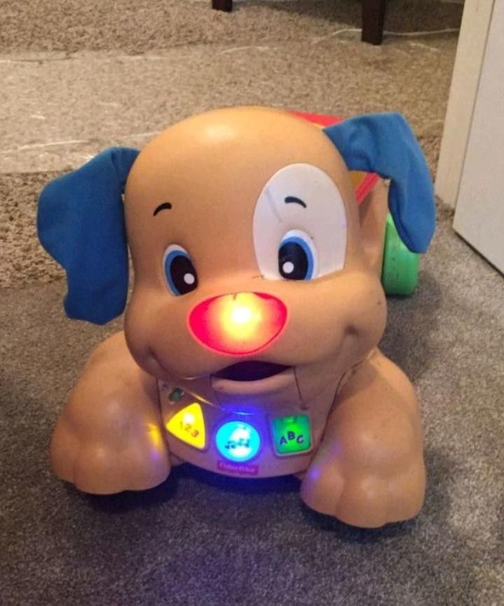 Fisher Price Light & Sounds Learning Puppy