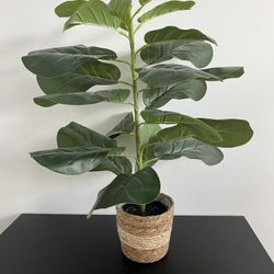 Artificial 26 Inch Fig Plant With Basket