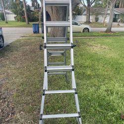 Cosco Multifunctional Ladder 15 Ft