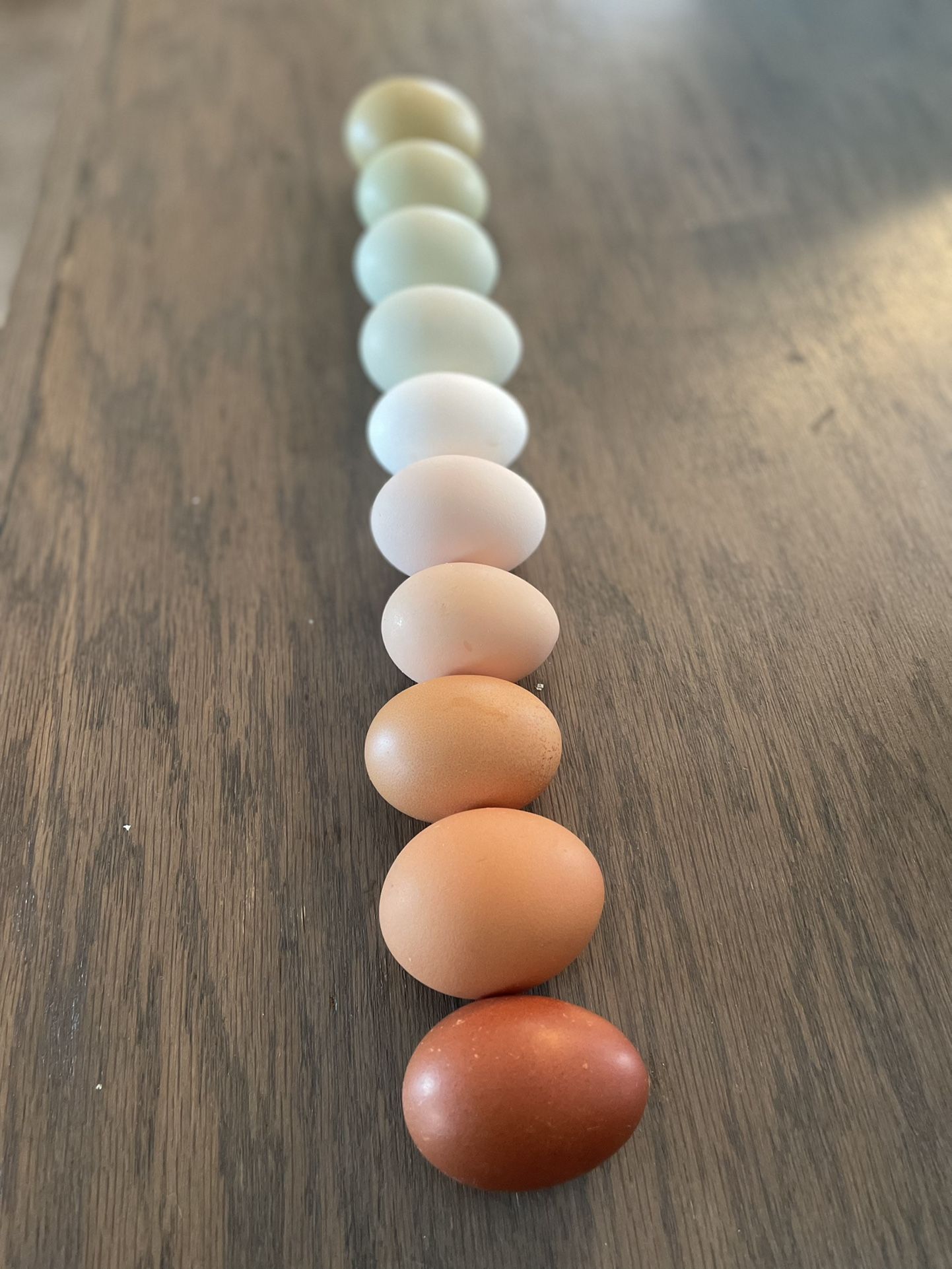 $5/dozen