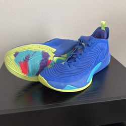 Mens Basketball Shoes (Size 13)