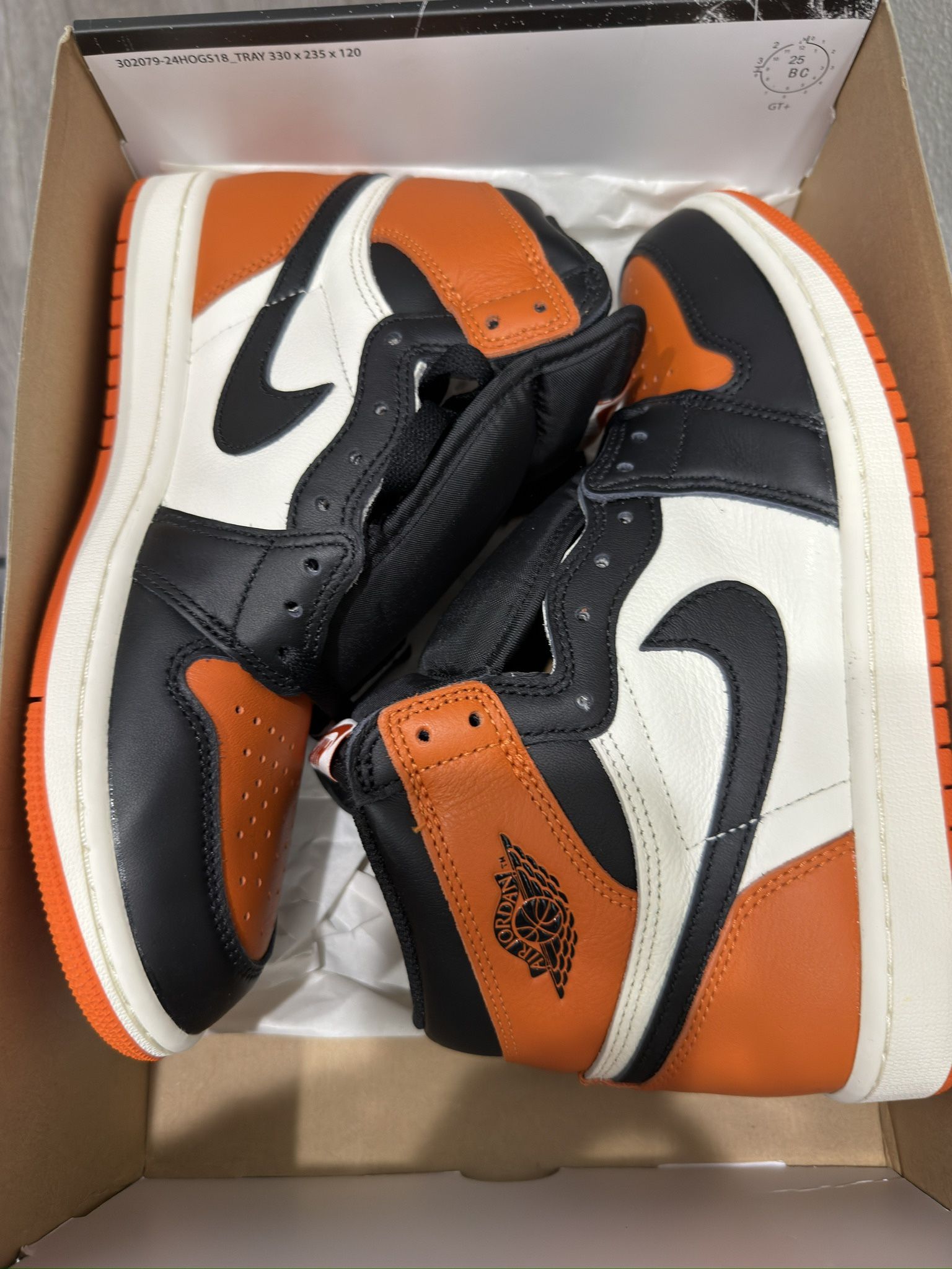 Jordan 1 Shattered Backboard 2025 Sz 8.5 $150 Cash final