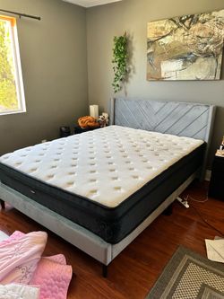 Queen Bed Frame (and/or Mattress)