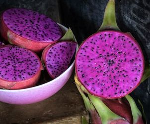 Sweet Florescent Pink Dragon Fruit Hylocereus Plant