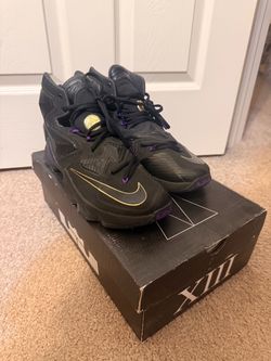 LeBron 13