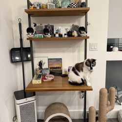  Walnut CB2 Helix Desk 