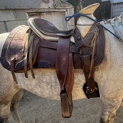 horse saddle 